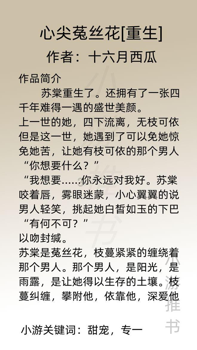 公主的华丽晚宴